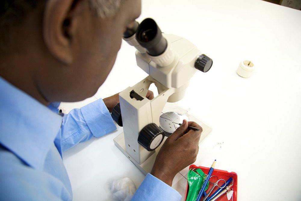 Microscope, African scientist. Credit: Brant Stewart, RTI. Original public domain image from Flickr