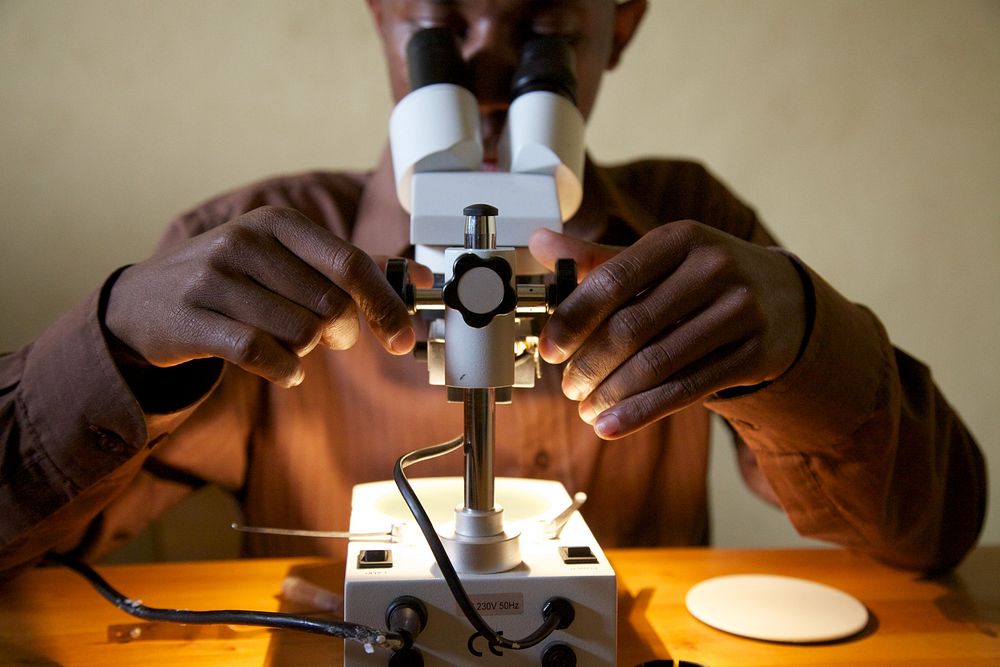 Microscope, African scientist. Credit: Brant Stewart, RTI. Original public domain image from Flickr