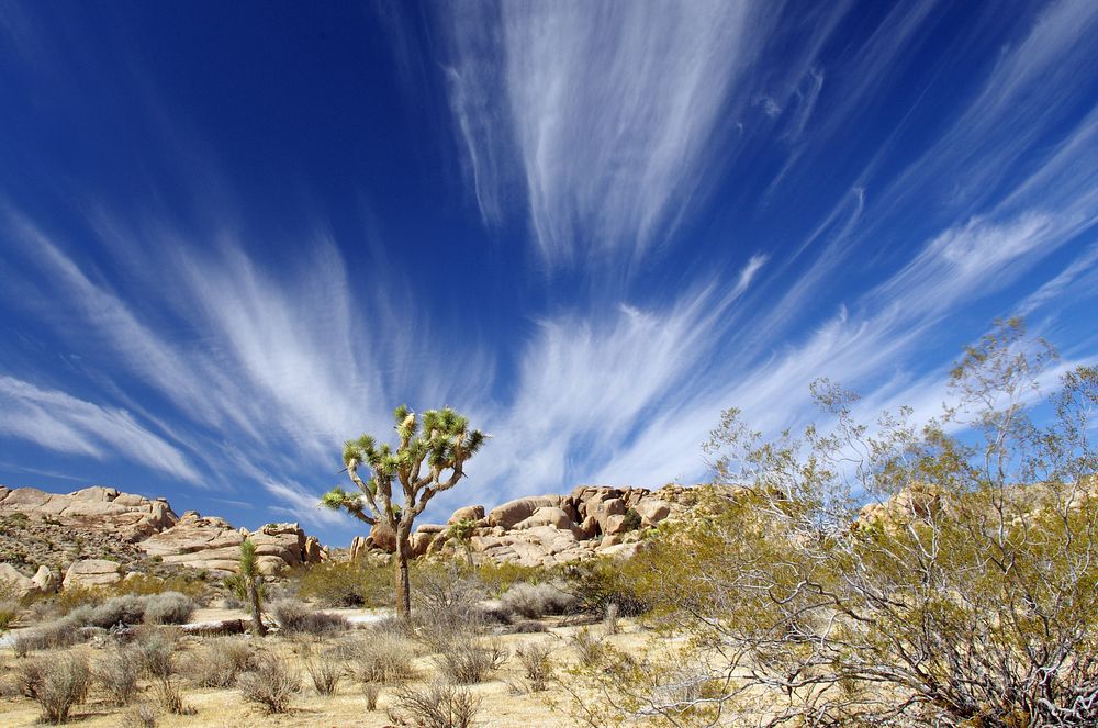 Cloud sky at  Joshua Tree National Park, southern California