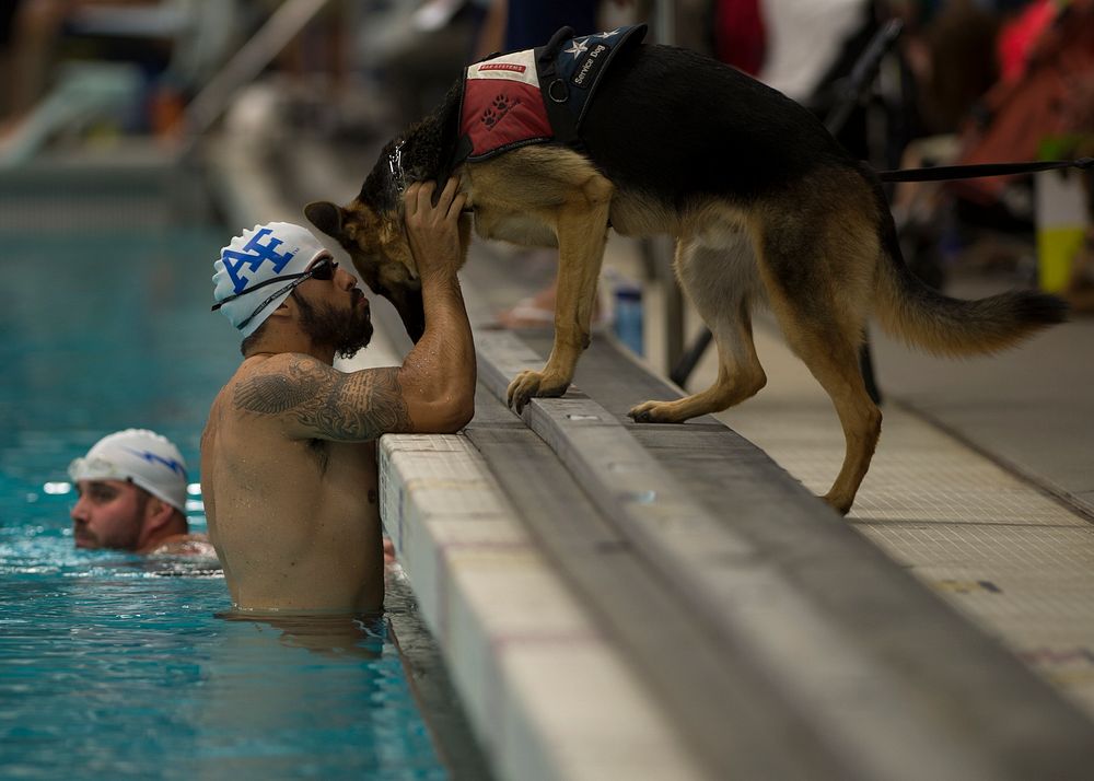 U.S. Air Force swimmer August O'Neill kisses his service dog, Kai, during the 2014 Warrior Games in Colorado Springs, Colo.…