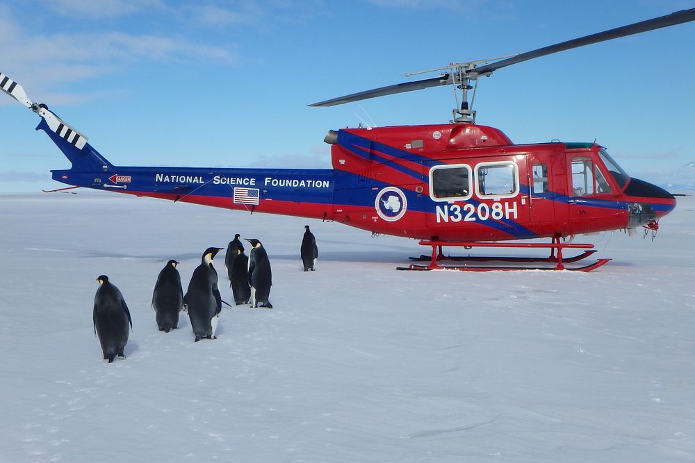 Charg&eacute; Green's visit to Antarctica, November 2014.Original public domain image from Flickr