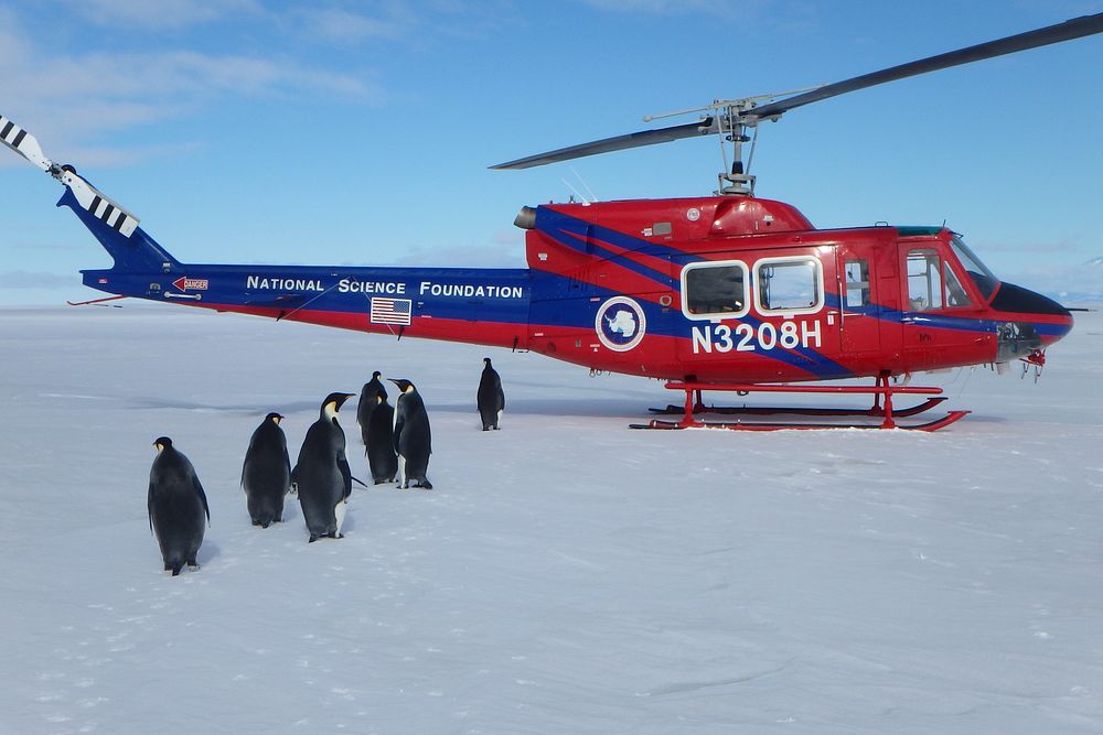 Chargé Green's visit to Antarctica, November 2014.Original public domain image from Flickr