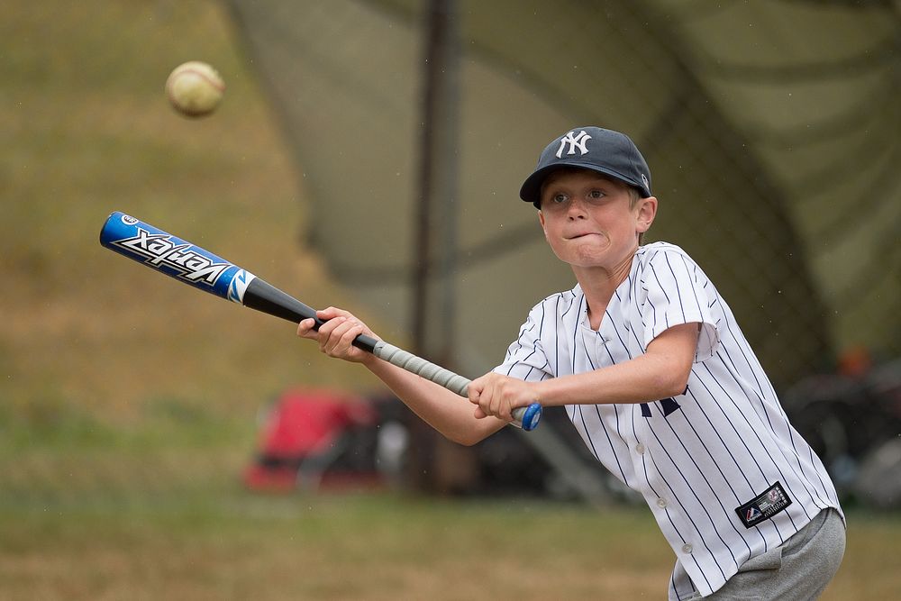 Baseball Training With The Pro's, February 2015.Original public domain image from Flickr