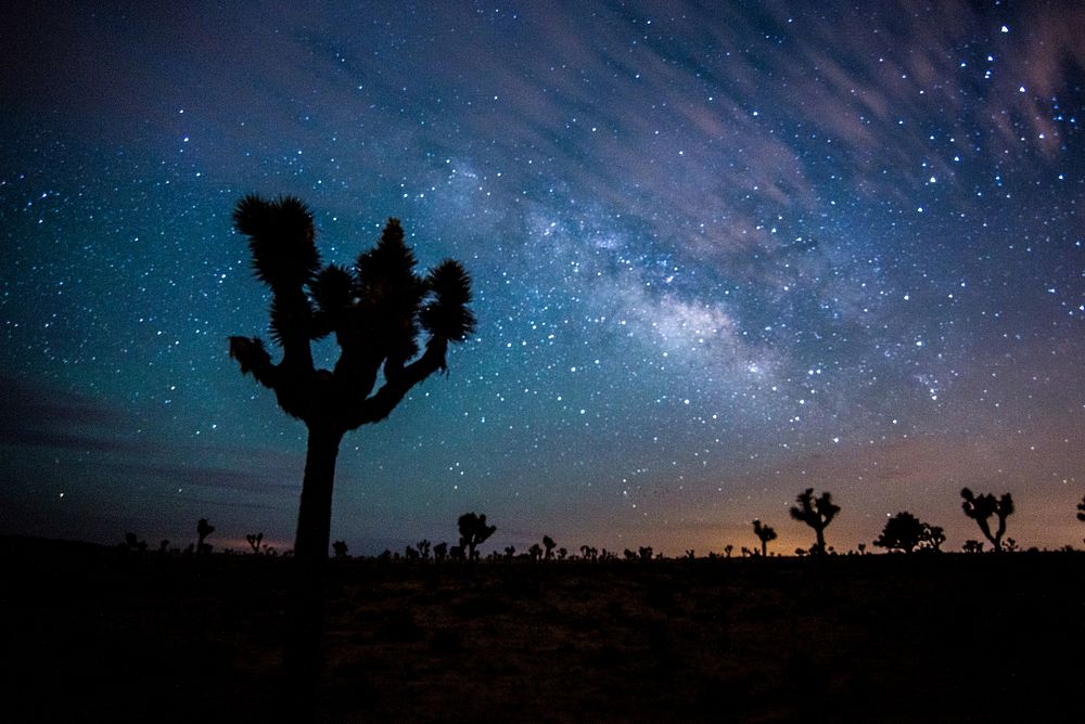 Aesthetic night sky, silhouette tree