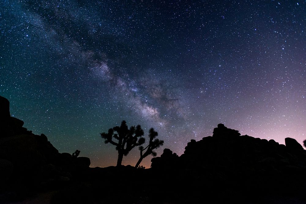 Aesthetic night sky, silhouette tree