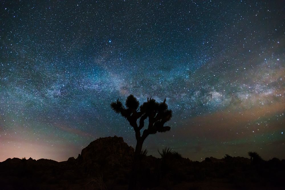 Aesthetic night sky, silhouette tree