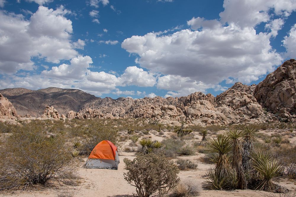 Camping at Indian Cove