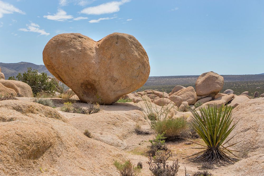 Heart Rock, Joshua Tree National Park, southern California