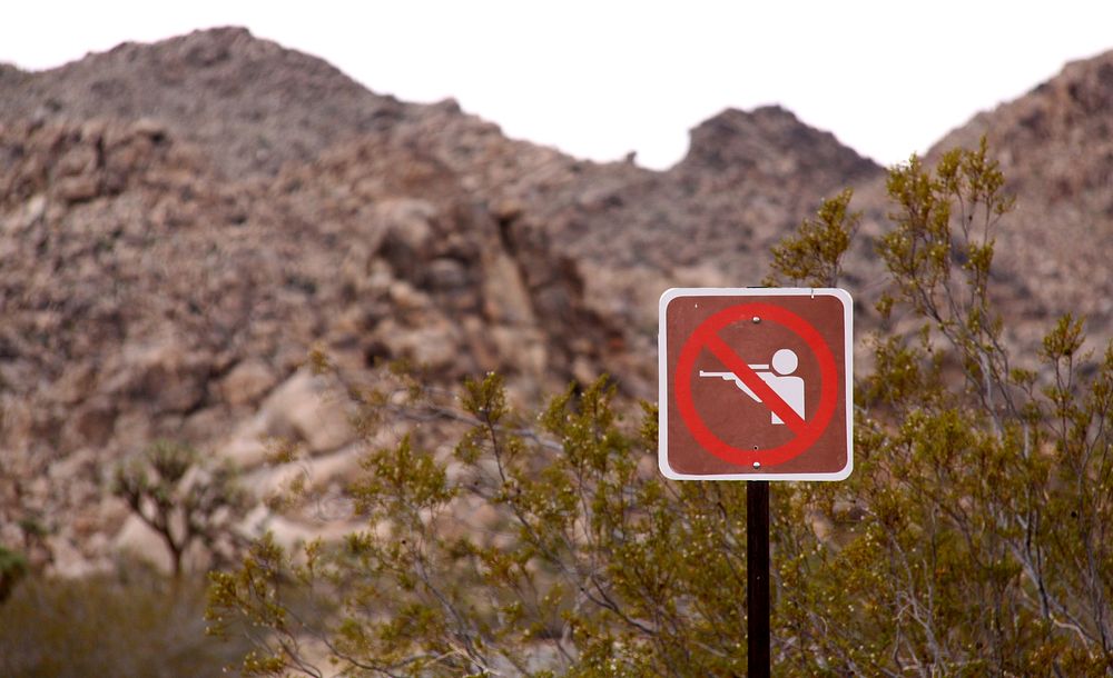 No shooting or hunting is allowed in Joshua Tree National Park