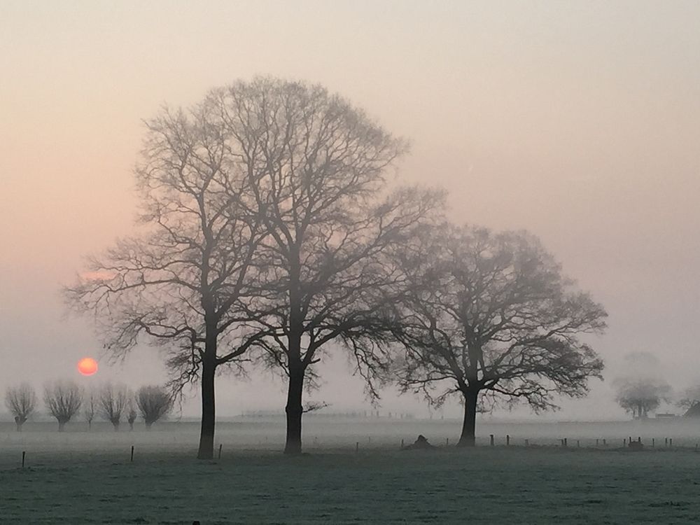 Fog over field. Original public domain image from Flickr