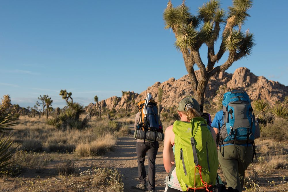 Backpackers walking along the Boy Scout Trail, Joshua Tree National Park, California