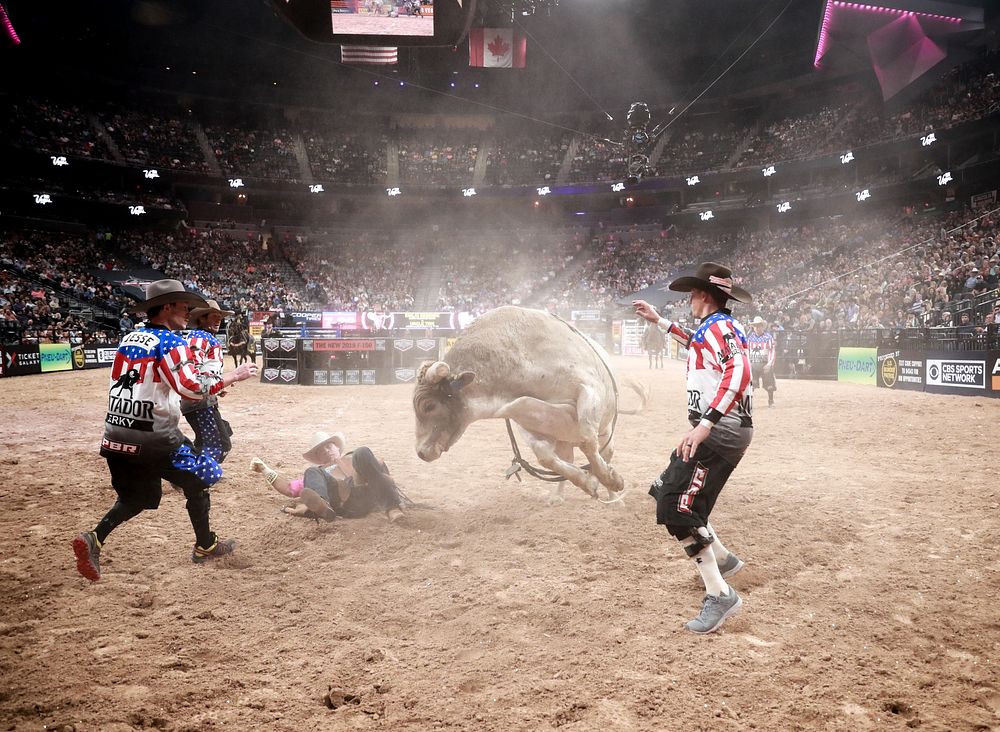 Rodeo clowns move in to protect a dismounted bull rider from his host during action at the 2017 Professional Bull Riders…