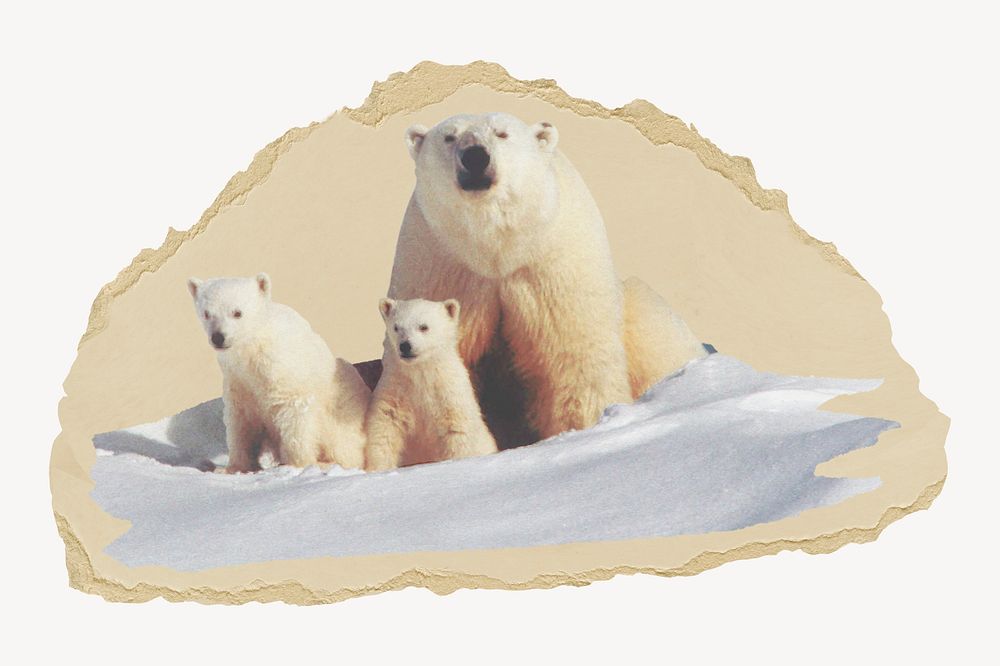 A Mom and her Cubs. collage element psd