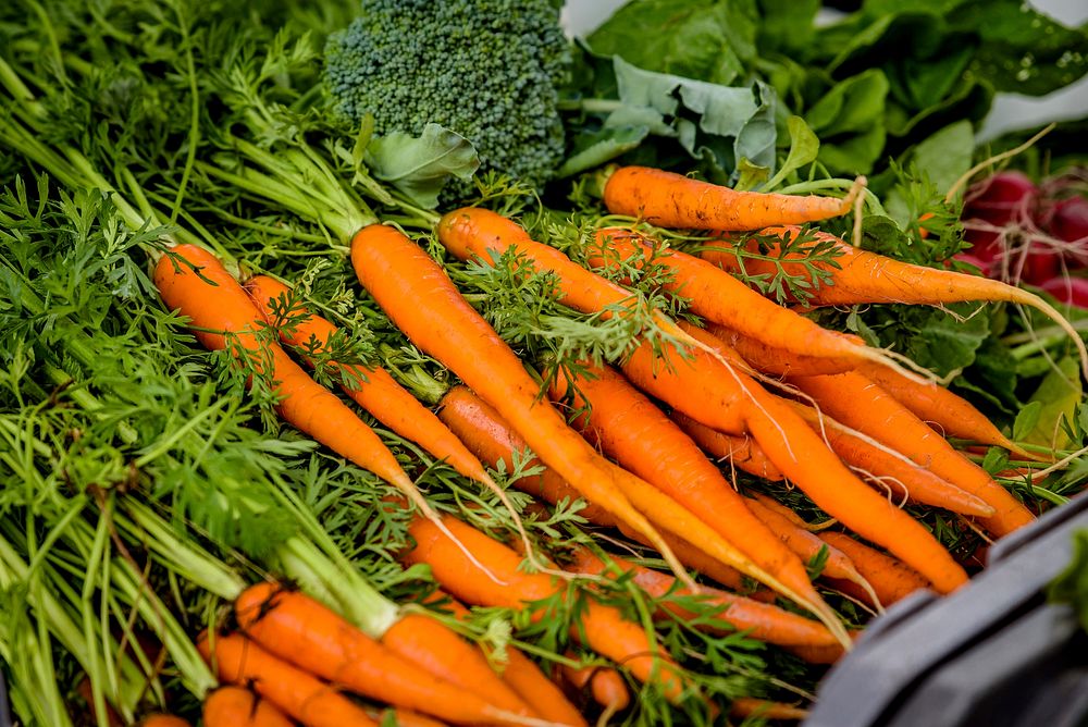 Carrots at Umbrella Market, Uptown Greenville, USA
