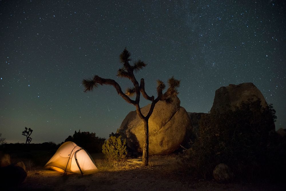 Glowing tent in Ryan Campground, Joshua Tree National Park, southern California