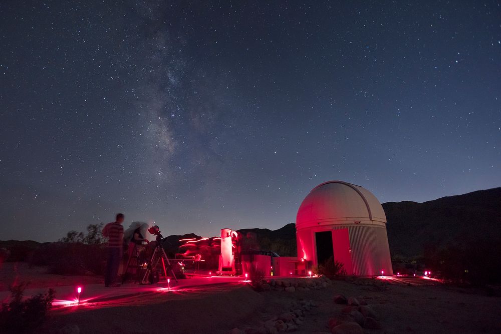  Stargazers at night