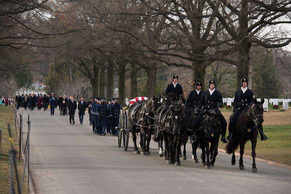 Members of the 3d U.S. Infantry Regiment (The Old Guard) and the U.S. Air Force Honor Guard participate in the graveside…
