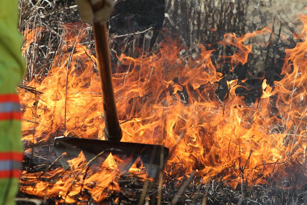 Emergency Services Training, wildfire.