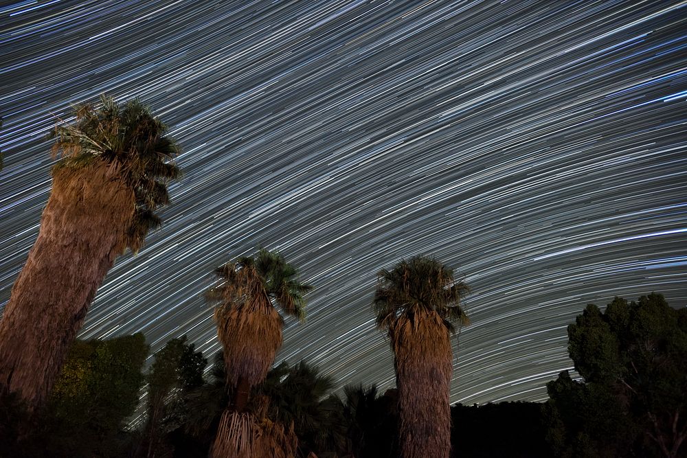 Star trails at Cottonwood Springs, California