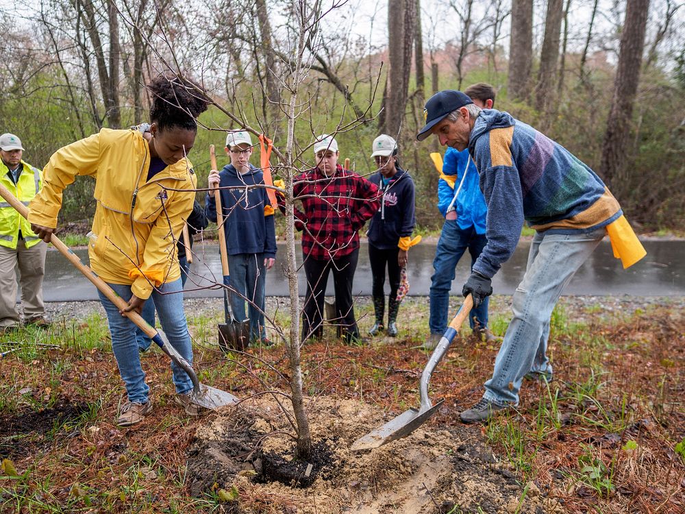 Planting a tree. Photo by Aaron Hines
