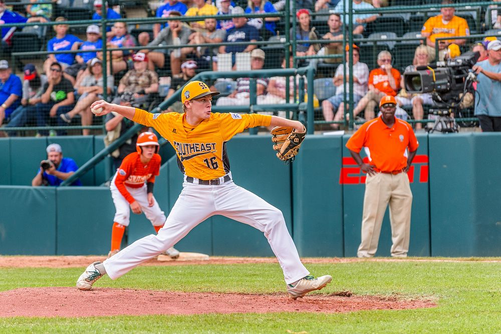 little-league-world-seriesgreenville-s-north-free-photo-rawpixel