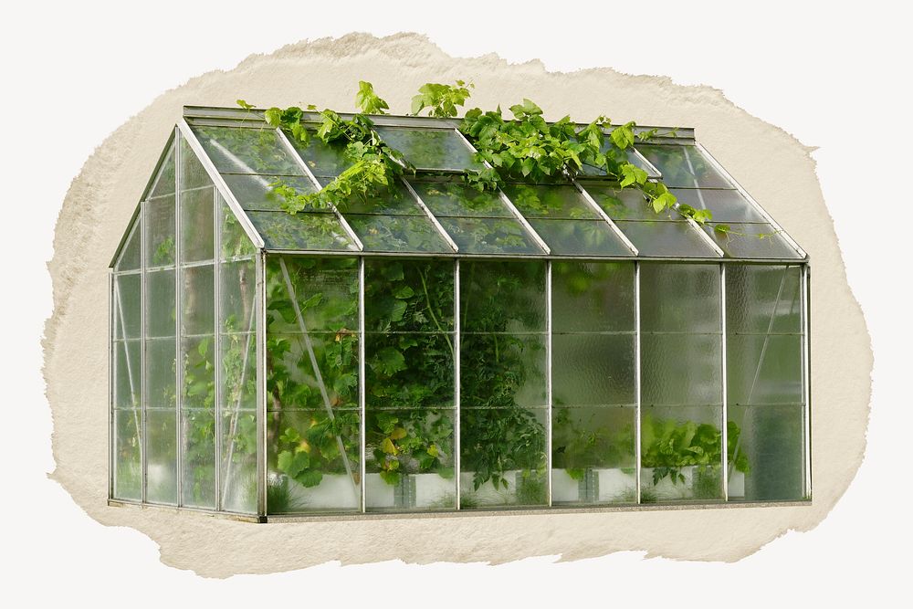 Small greenhouse collage element psd