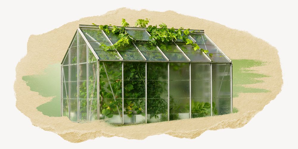 Small greenhouse collage element psd
