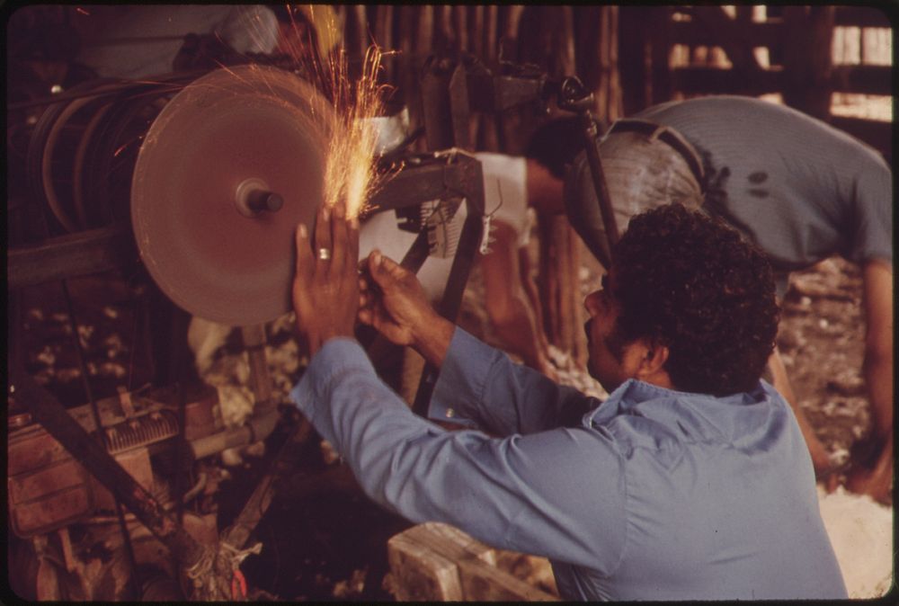 Sheep Shearer Sharpening His Shears on a Ranch in the Leakey Texas, and San Antonio Area 05/1973. Original public domain…