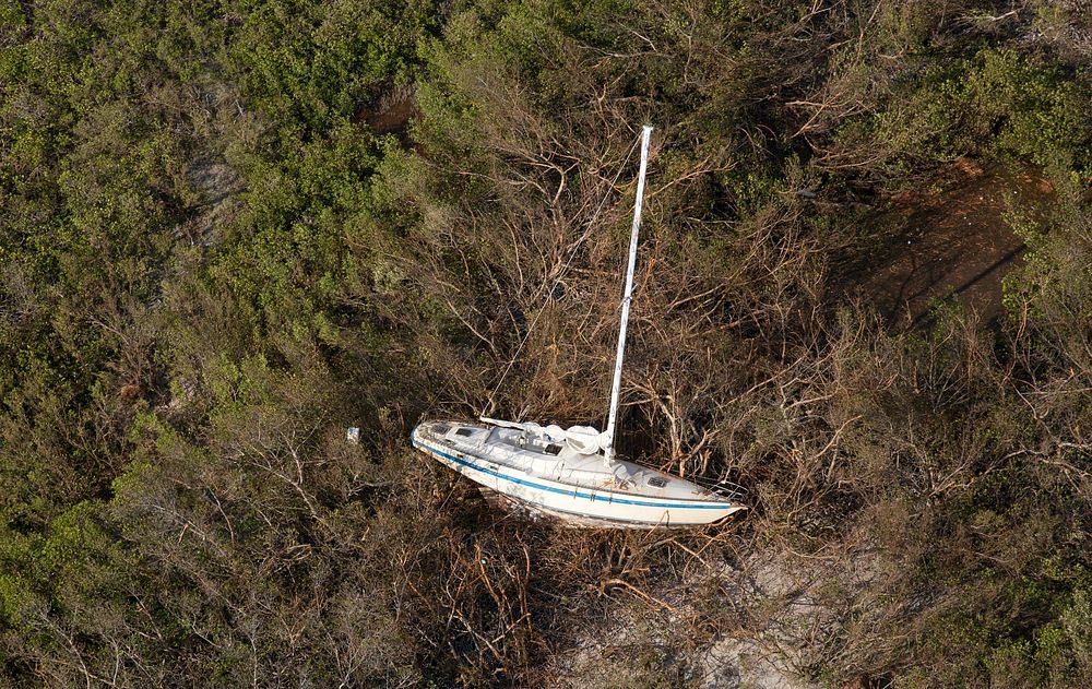 A lone sail boat is aground among mangled trees in the Florida Keys after the wrath of Hurricane Irma September 12, 2017.