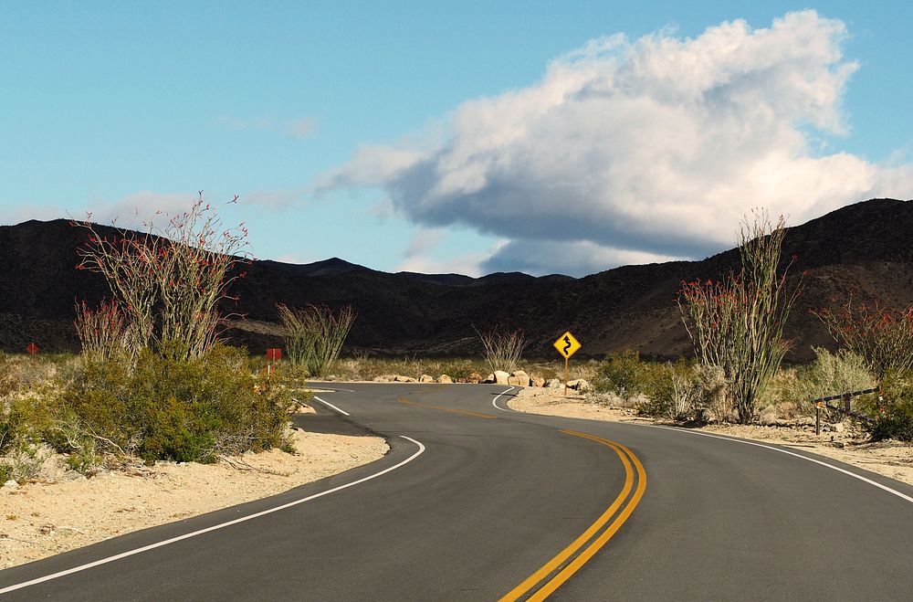 Ocotillo road