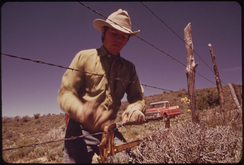 Fence Mending at the Oldlands' Summer Cow Camp, 15 Miles South of Their Piceance Creek Ranch. Three Generations of Oldlands…