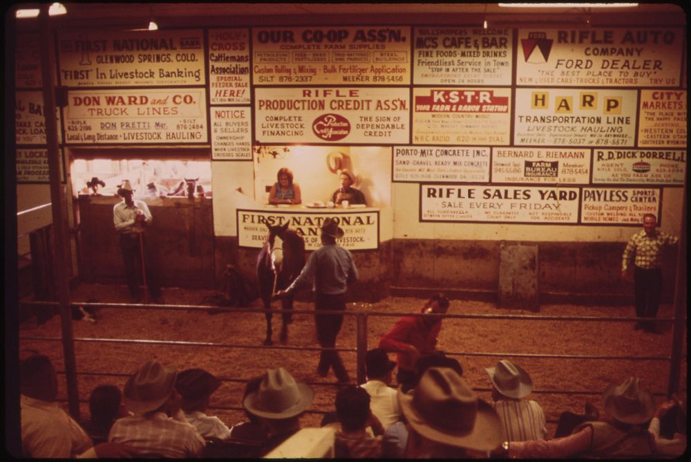 Livestock Auction Held Every Friday at the Rifle Sales-Yard, 10/1972. Original public domain image from Flickr