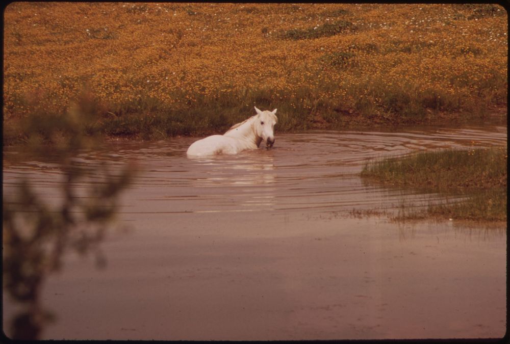 Lake Lyndon Johnson. Original public domain image from Flickr