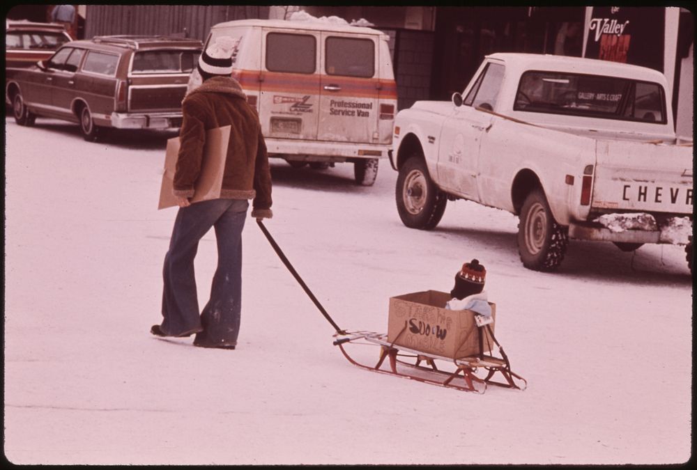 Snug as a Bug in a Carton on Runners. Original public domain image from Flickr