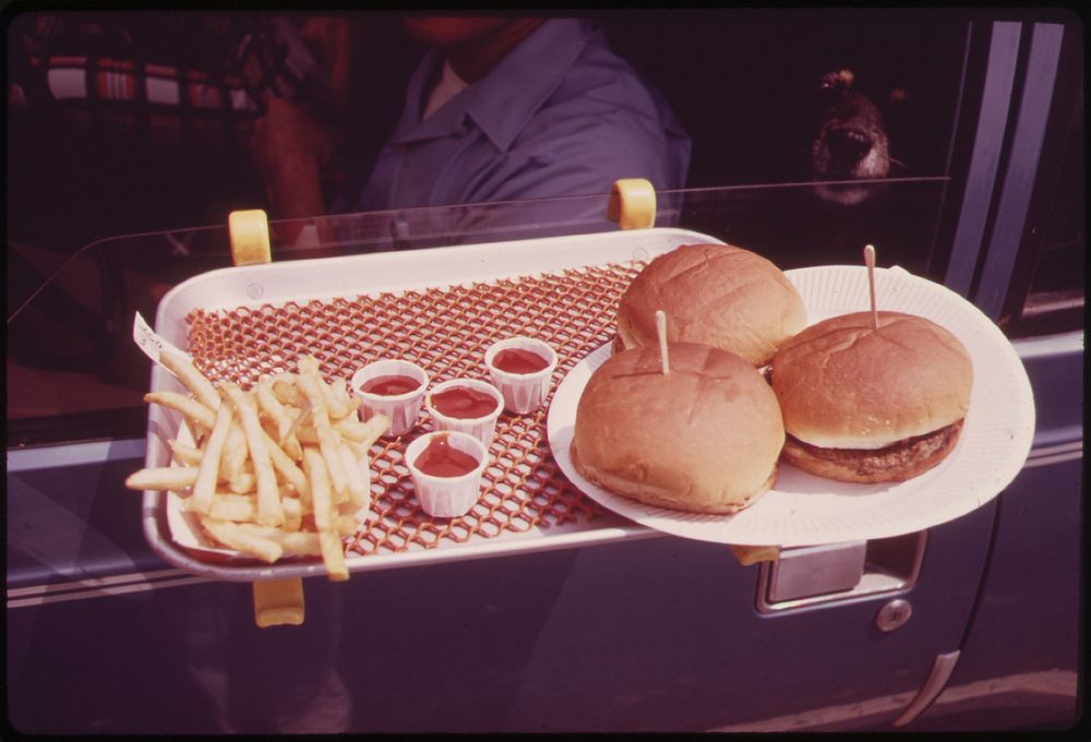 Lunch in the Car-Hylan Boulevard, Staten Island 06/1973. Photographer: Tress, Arthur. Original public domain image from…