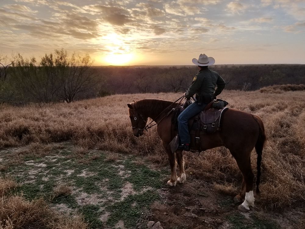 U.S. Border Patrol Horse Unit Provides Border Security in Texas