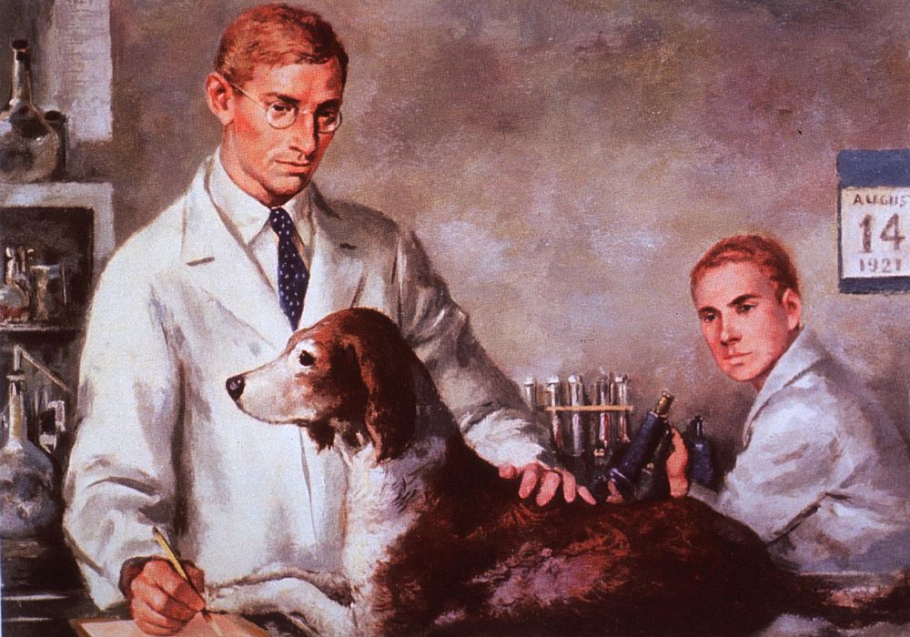 Drs. Banting and Best In The Laboratory (1921) Dr. Banting standing, one hand on a dog, the other making notes on pad. Dr.…