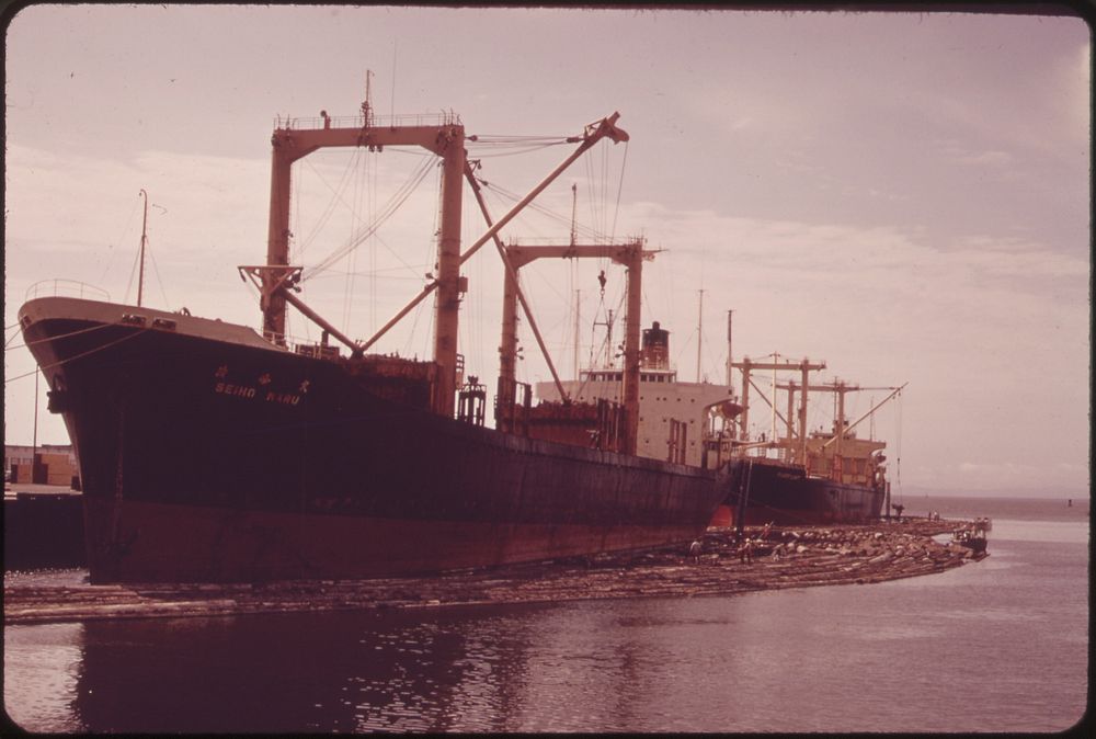Logs Will Be Taken Aboard These Ships at the Mouth of the Columbia River for Export to Japan. Original public domain image…