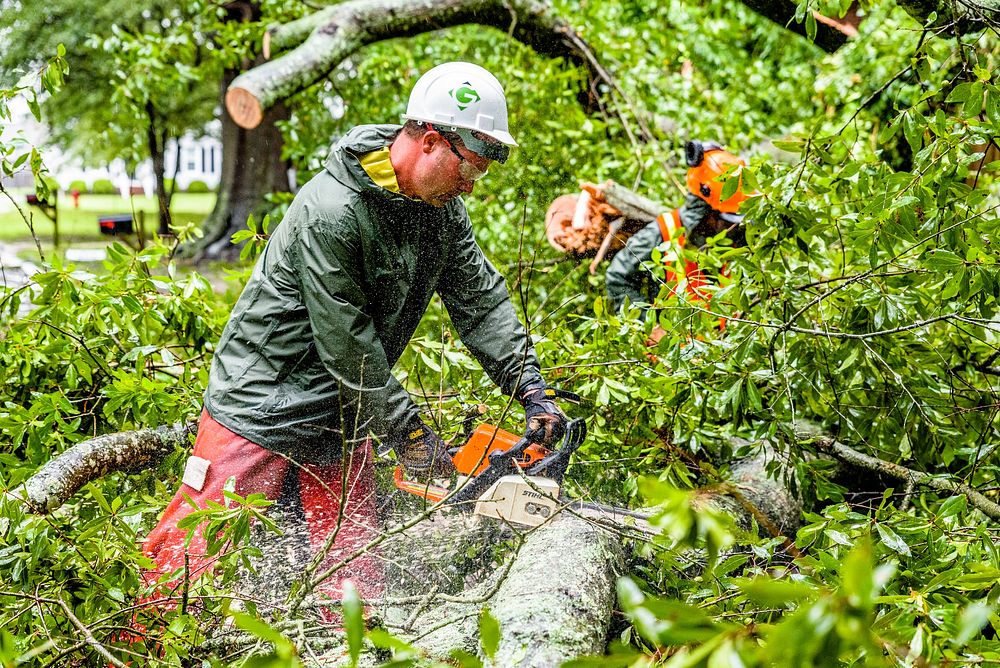 Hurricane Florence, Public Works clears downed trees from blocked streets, September 14, 2018. Original public domain image…