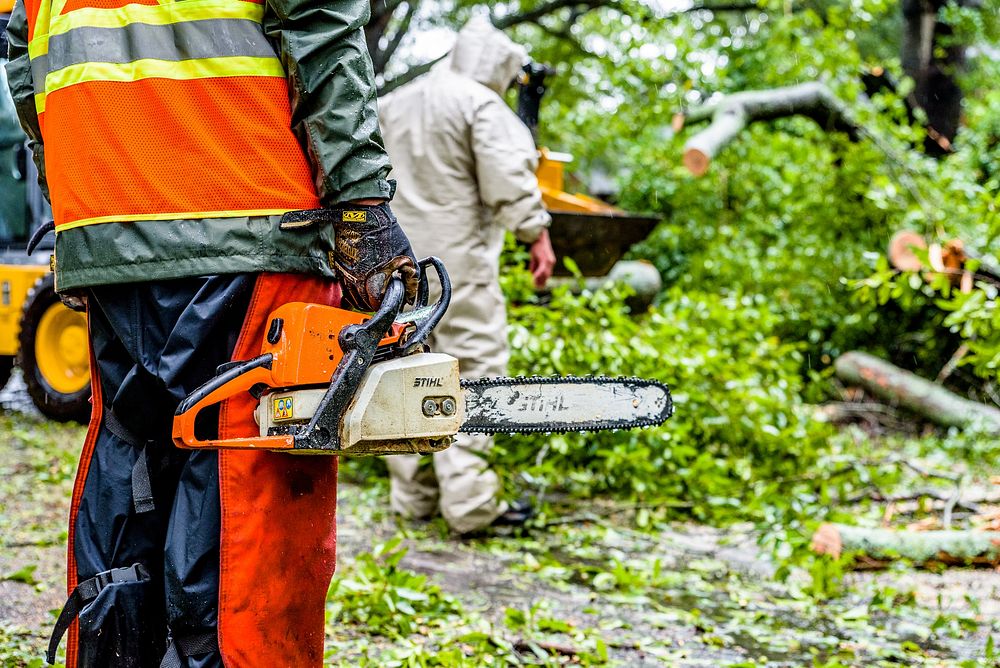 Hurricane Florence, Public Works clears downed trees from blocked streets, September 14, 2018. Original public domain image…