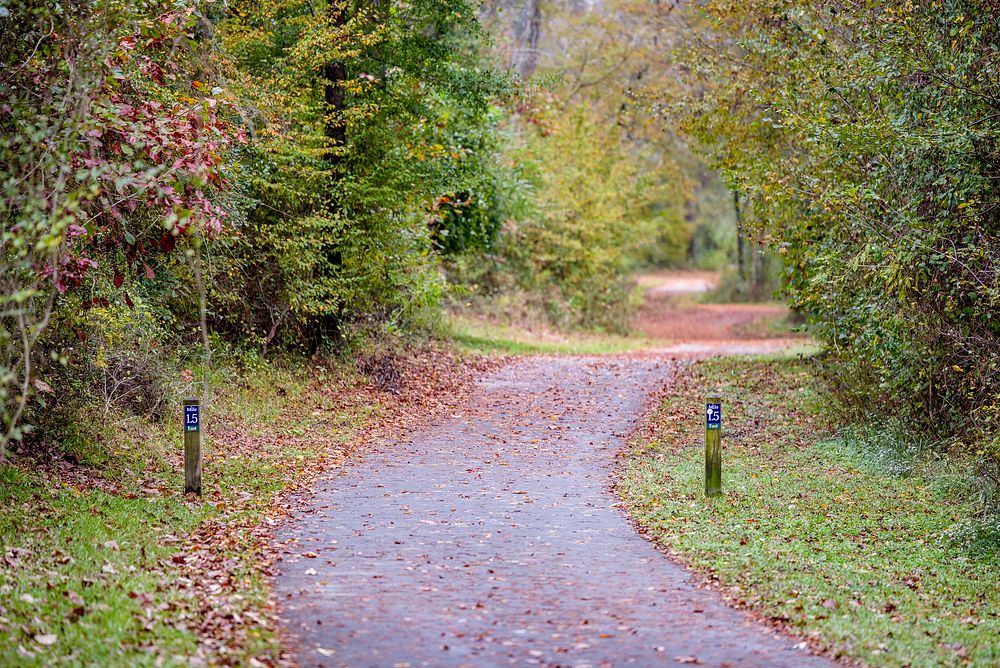 Park background, Greenville Greenways, USA