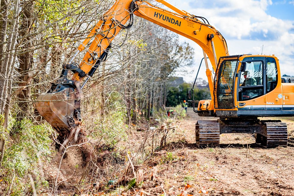 Stormwater Improvement, Greenville Public Works clearing an overgrown stormwater ditch to reduce flooding, 
