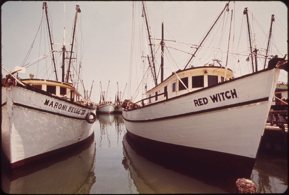 Shrimp Boats Lie at Anchor at the Commercial Fishing Dock. Photographer: Schulke, Flip, 1930-2008. Original public domain…