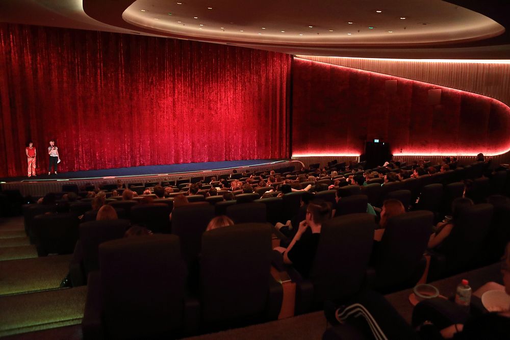 Red auditorium, full audience. Original public domain image from Flickr