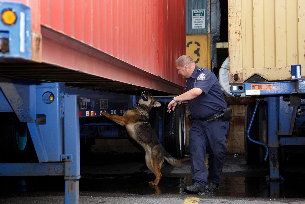 U.S. Customs and Border Protection and Homeland Security Investigations led a multi-agency inspection of the MSC Gayane that…