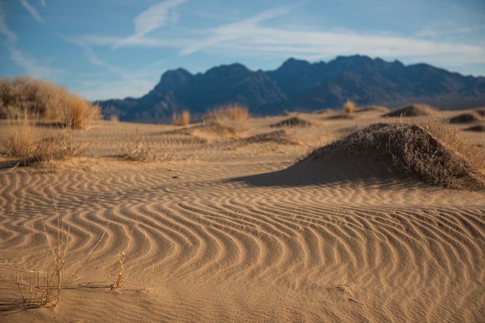 Mojave Preserve Kelso Dunes, California