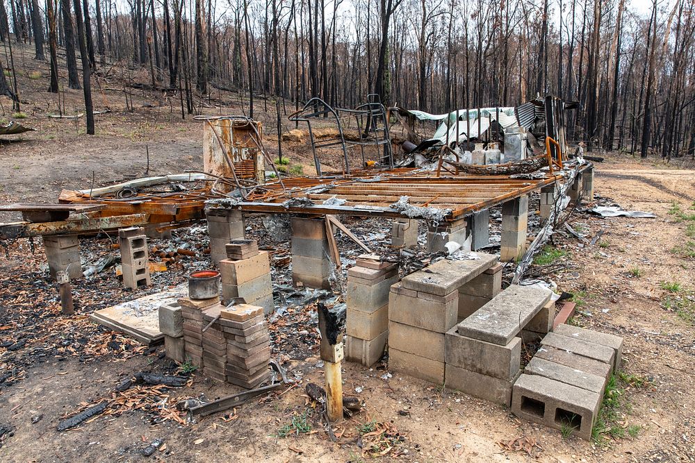 Post-bushfire recovery in Australia