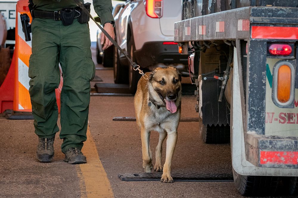 On June 17, 2020, Tucson Sector Border Patrol Agents conduct operations at the Highway 86 checkpoint near Tucson, Ariz. U.S.…