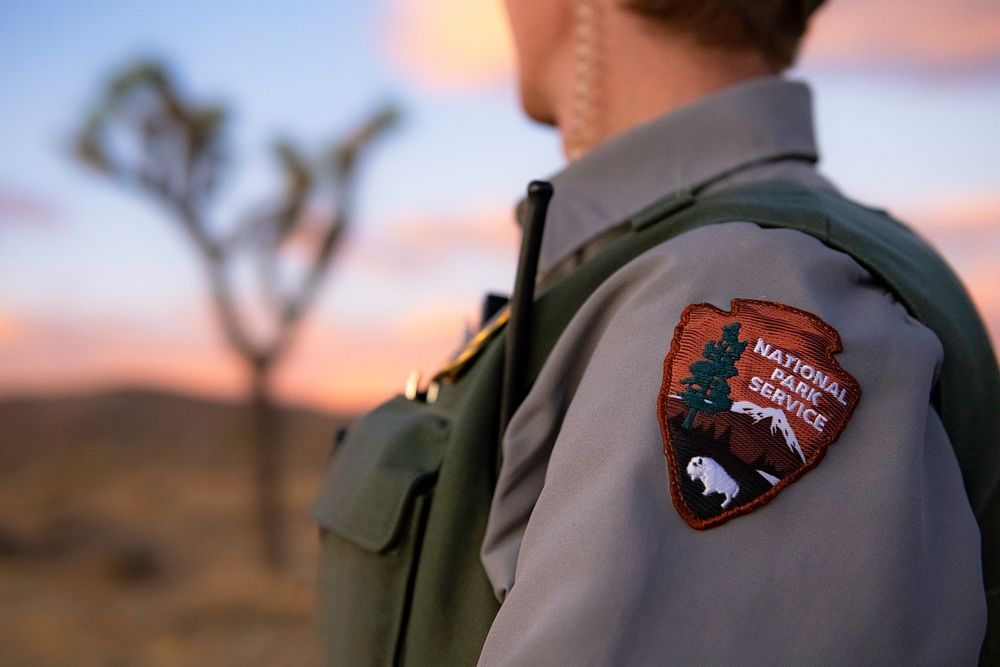 Park ranger in uniform with NPS arrowhead near a Joshua tree