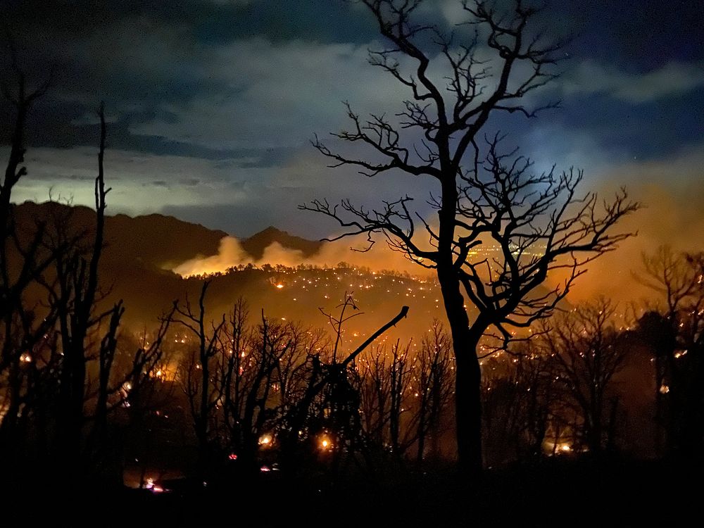 Tree silhouette, forest fire. Original public domain image from Flickr